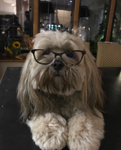 (Credit: jamesmartinchef Instagram)