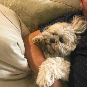 (Credit: jamesmartinchef Instagram)