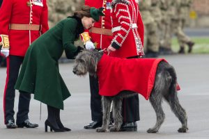 (Credit: SplashNews)