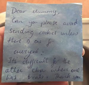Teacher told a mum to stop putting cookies in her son's packed lunch