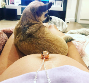 Stacey Solomon pregnant with dog