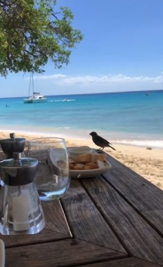 Michelle's beach shot