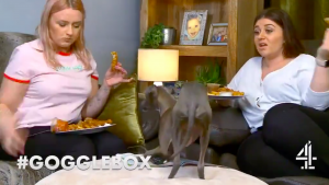 (Credit: C4Gogglebox Twitter)