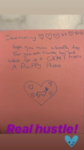 Matt Willis Instagram