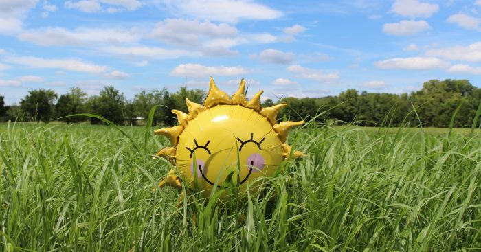 Photo by Laura Pratt on Unsplash