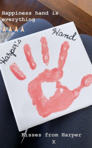 Harper's gift for Posh Instagram Stories