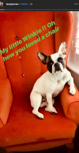 Lacey Turner dog dies