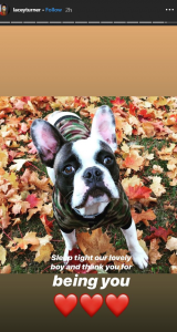 Lacey Turner dog dies