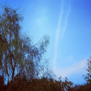 Instagram @sarah_georgina6