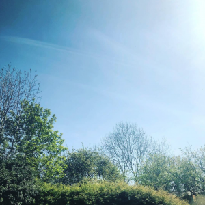 Instagram @turtley_anxious