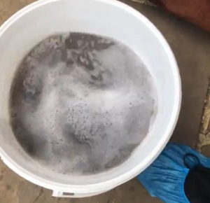 Kerry's dirty bucket of water