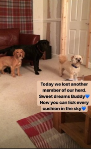 Briony's Instagram Story