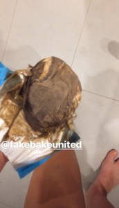 Josie's Instagram Story