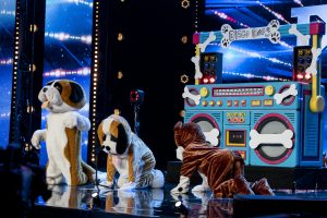 britain's got talent, dog costumes