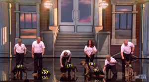 Dave and Finn on Britain's Got Talent