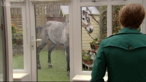 Heracles Tiny Coronation Street