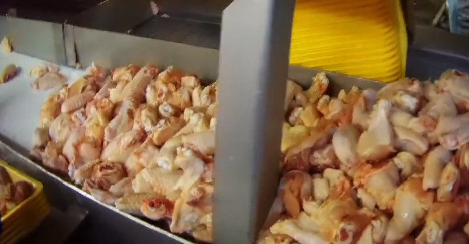 Dispatches: The Truth About Chlorinated Chicken