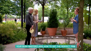 Phil and Holly welcomed Charlie Bloom to talk about bush shaping (Credit: ITV)