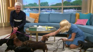 This Morning segment