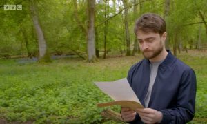 Daniel Radcliffe