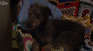 Monty wasn't happy (Credit: ITV)