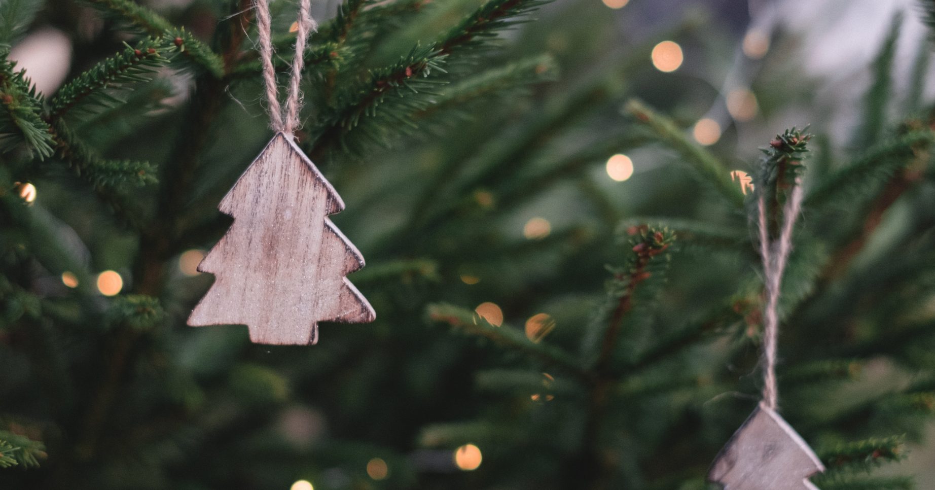 Christmas tree Pexels