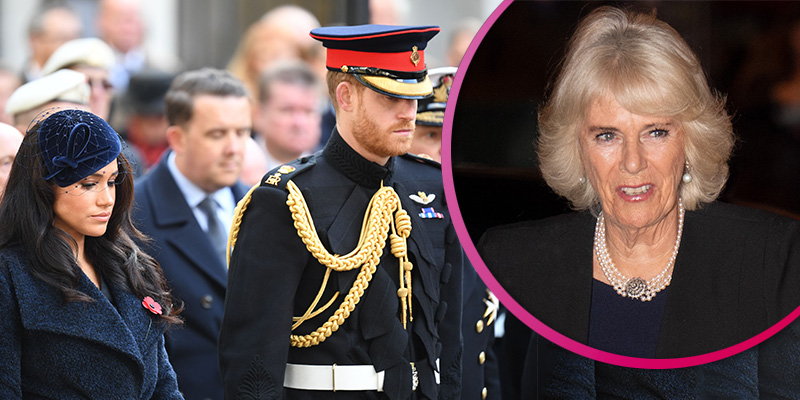 Duke and Duchess of Sussex