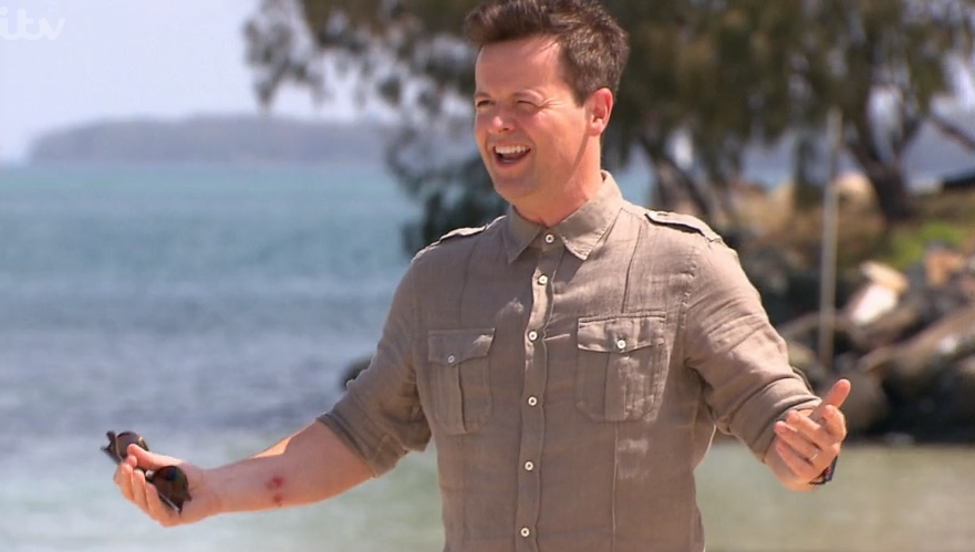 Dec Donnelly on I'm A Celebrity