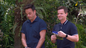 Ant McPartlin and Dec Donnelly