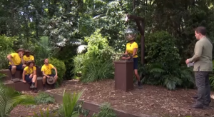 I'm A Celebrity Bushtucker trial