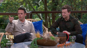 Ant and Dec on Extra Camp