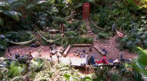 I'm A Celebrity jungle