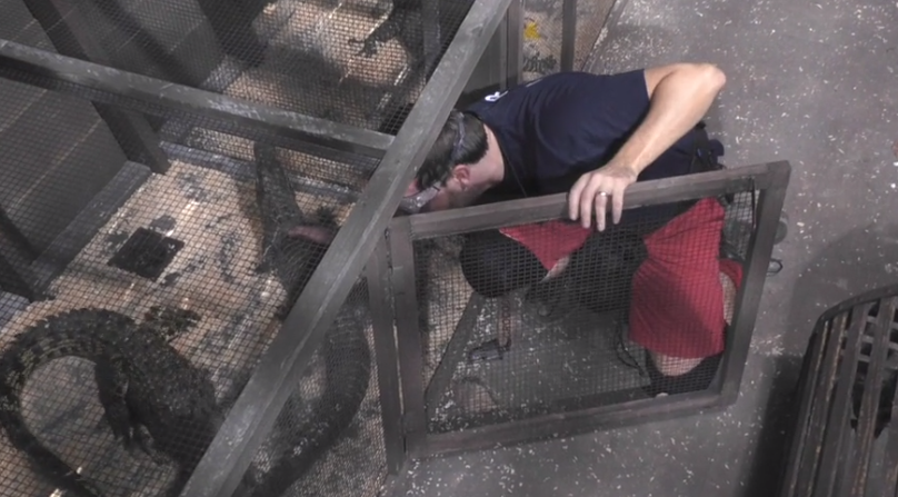 Andrew Maxwell doing I'm A Celebrity trial