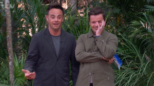 Ant McPartlin and Dec Donnelly