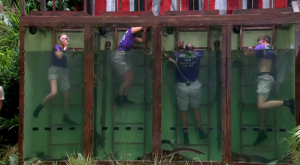 I'm A Celebrity trial