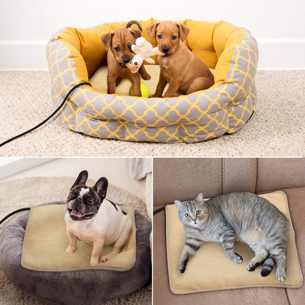 Amazon is selling HALF PRICE heated pet blankets Entertainment Daily