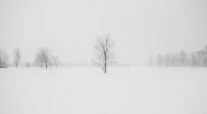 Snow photo