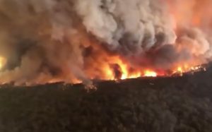 bushfires