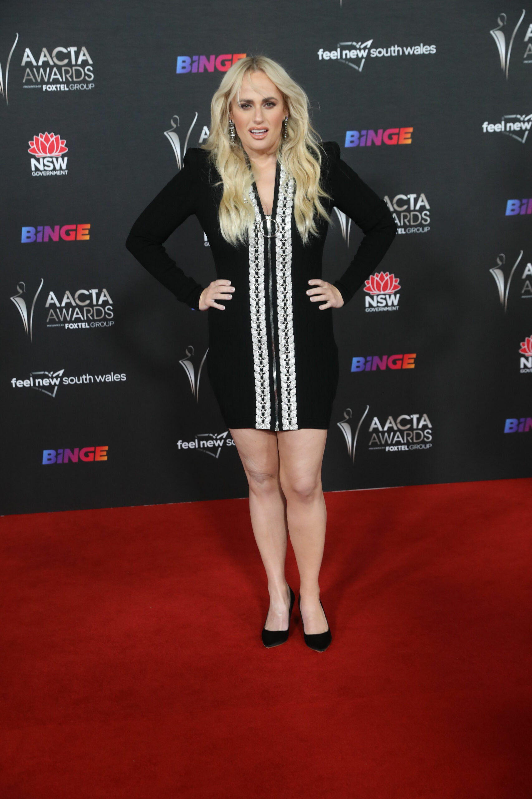 Rebel Wilson on the red carpet