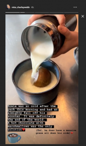 Charley revealed Bowie had a fall (Credit: Instagram @miss_charleywebb)