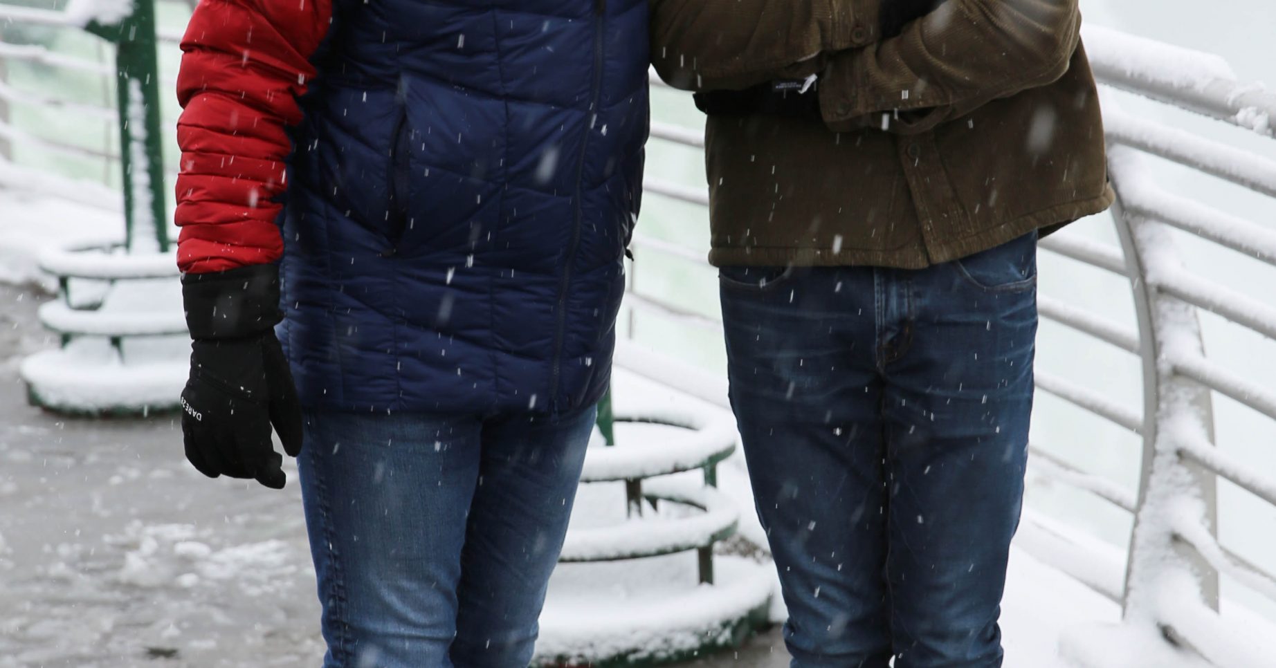 Bradley Walsh and Barney Walsh