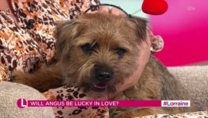 Lorraine Kelly and dog on Lorraine