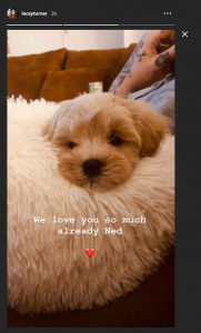 EastEnders star Lacey Turner shares adorable pictures of baby Dusty and puppy Ned playing 