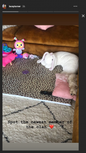 Lacey Turner puppy Ned EastEnders 