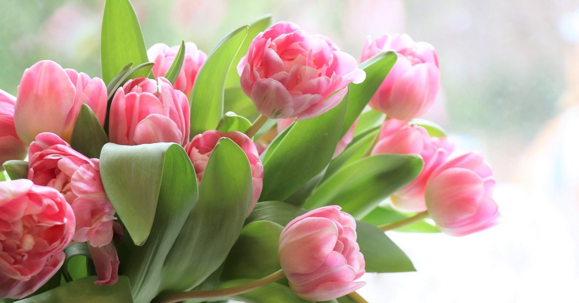 Mother's Day flowers