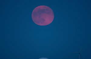 Super Pink Moon (Credit: Cover Images)