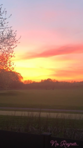 Alan Halsall on Instagram