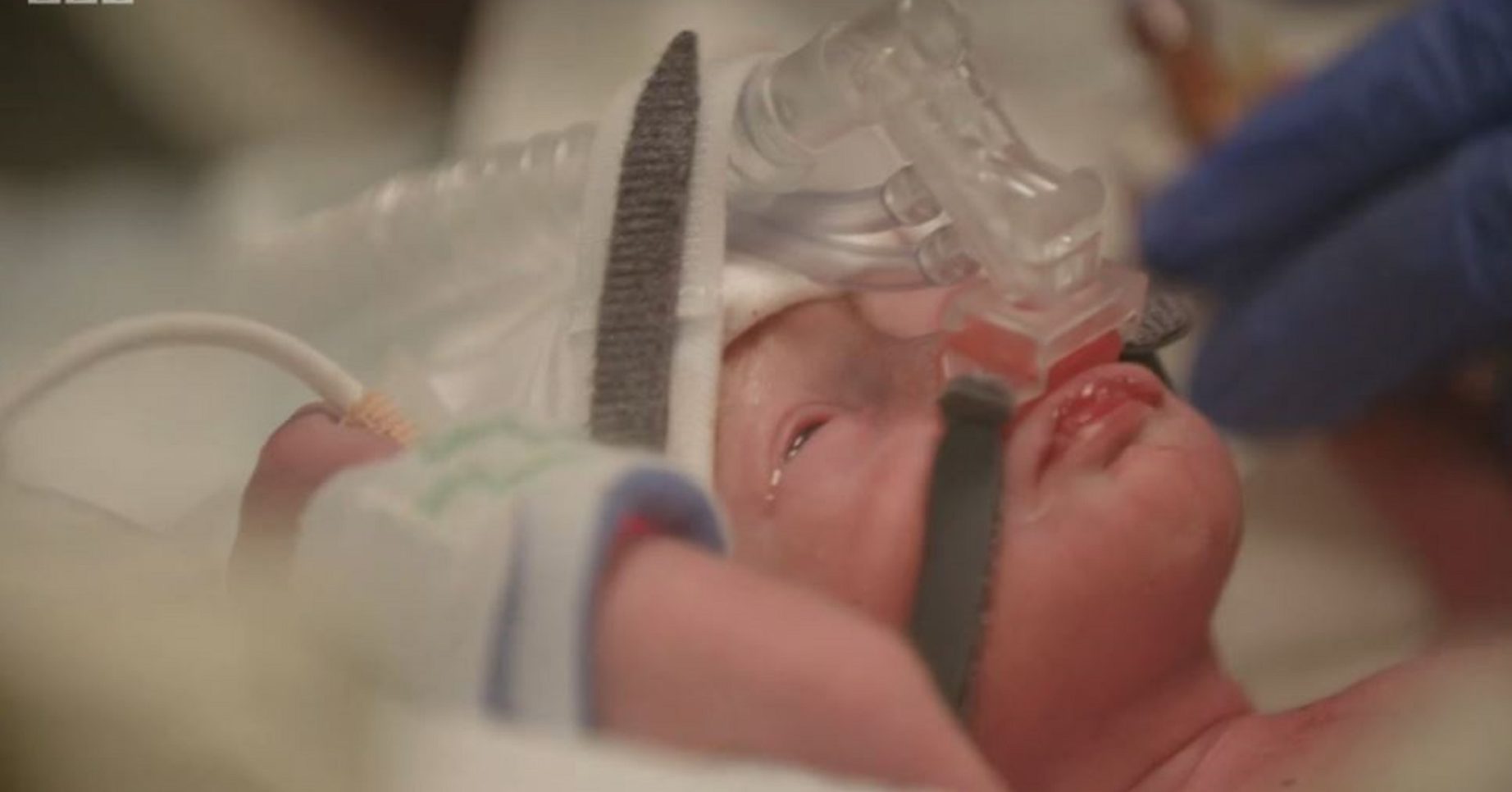 Baby Phoebe on Life and Birth