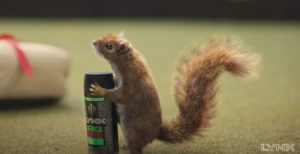 Lynx Africa advert featuring horny squirrel
