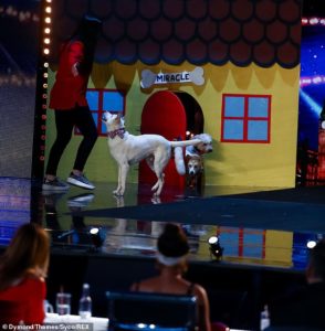 BGT Miracle Amanda (Credit: ITV)